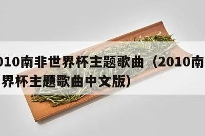 2010南非世界杯歌曲有哪些经典之作？-第3张图片-www.211178.com_果博福布斯